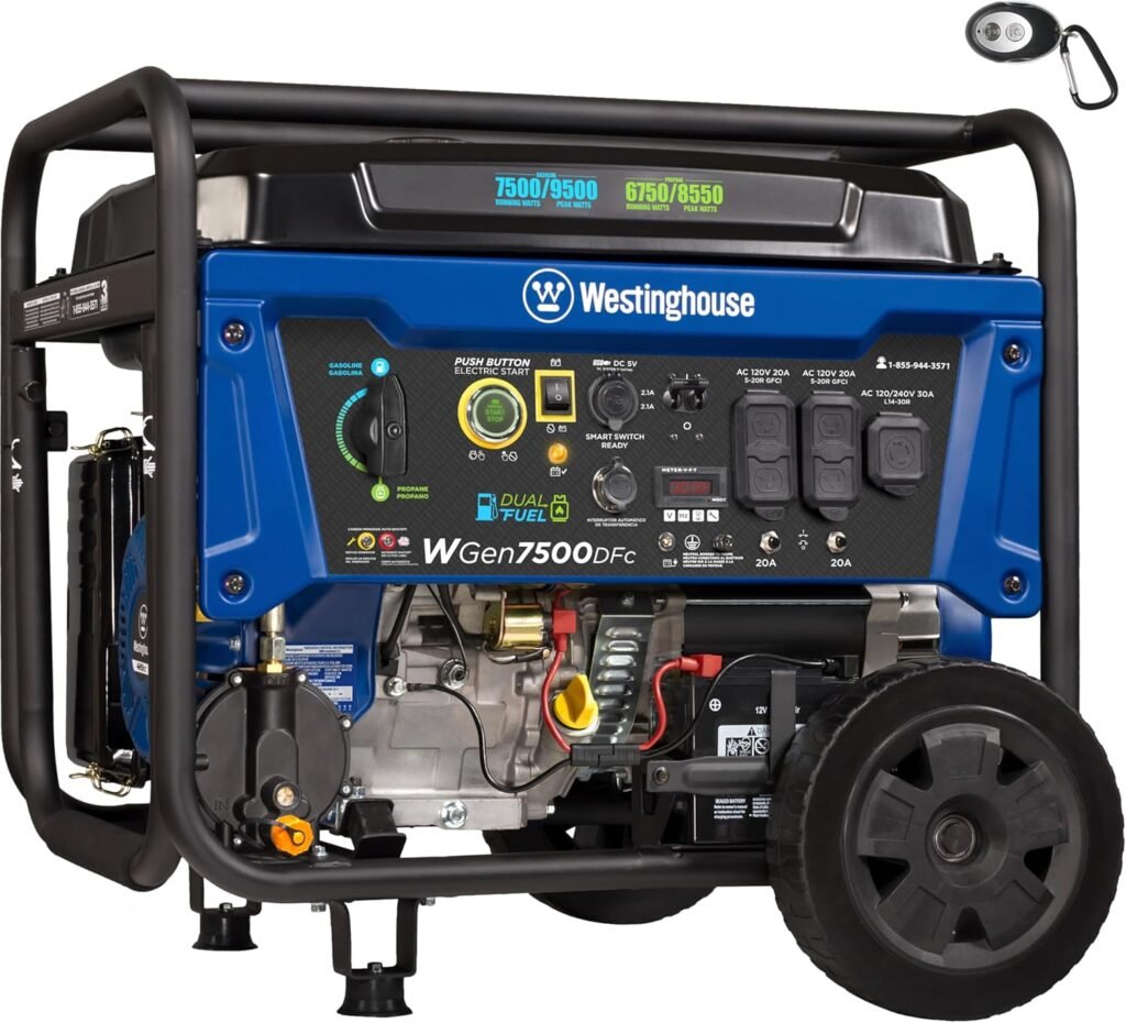 what can a 10000 watt generator run